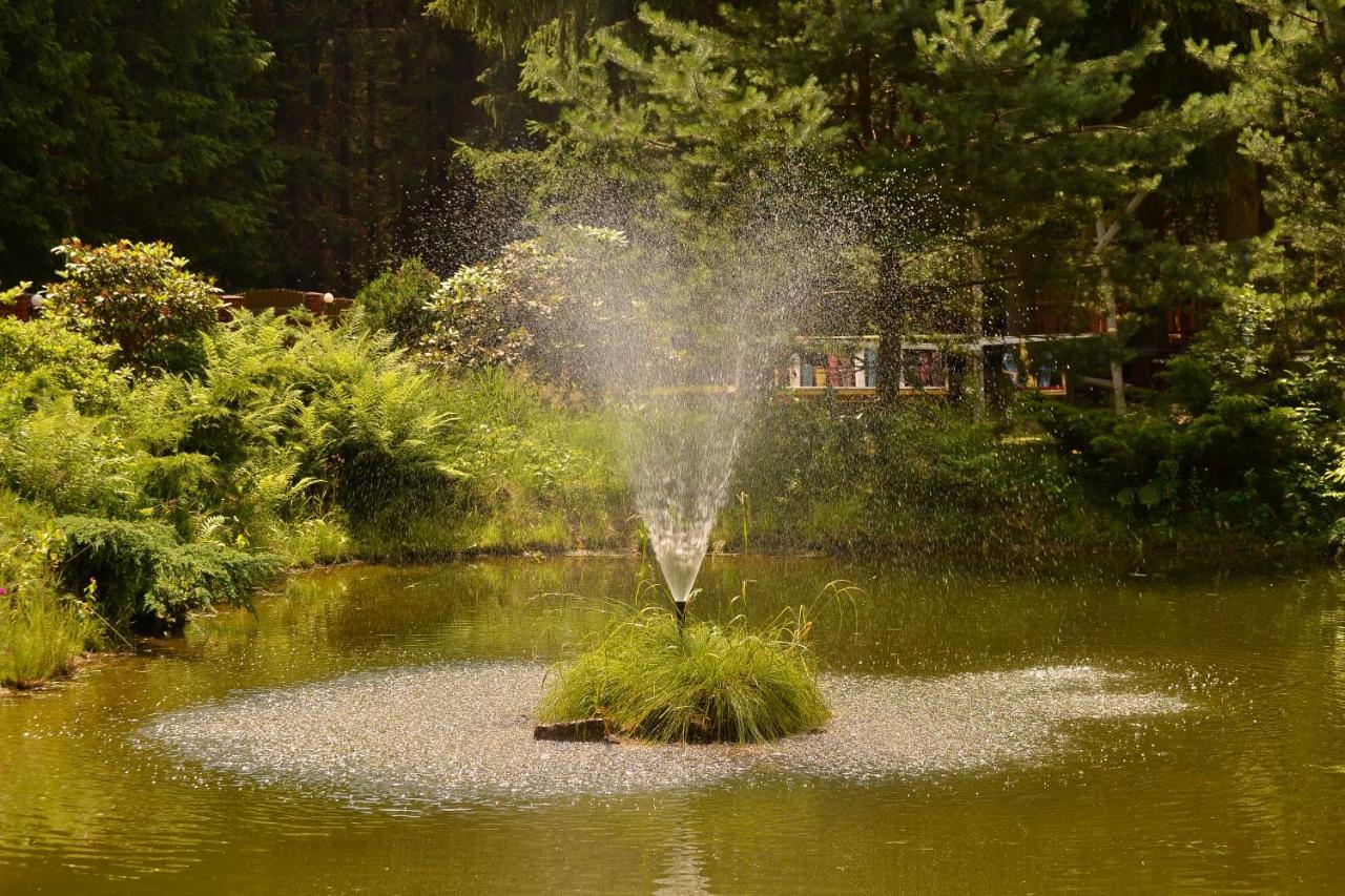 Zadrna Rezydencja Aparthotel Chełmsko Śląskie Esterno foto